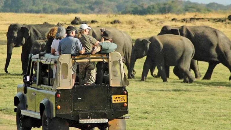 sri lanka safari tour