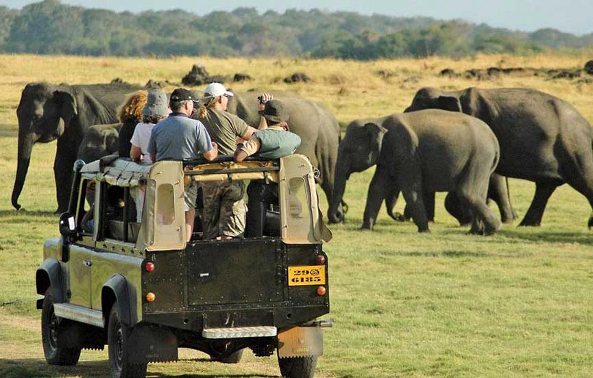 sri lanka safari tour